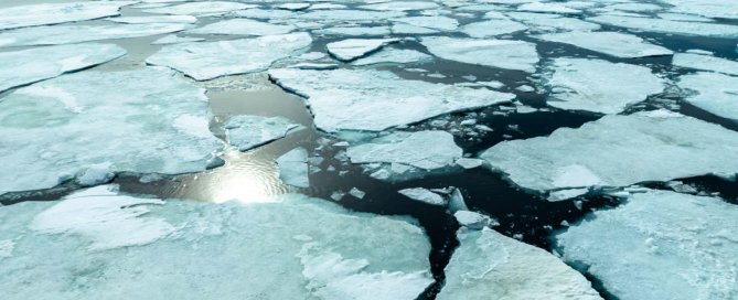 Weddell Sea. Carpe diem