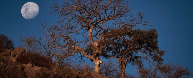 Namibia Rundreise, Andreas Kalthoff