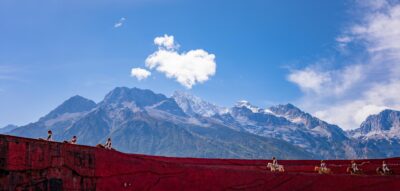Yunnan Snow Mountain Pferde